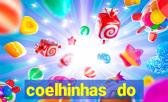 coelhinhas do brasil recife